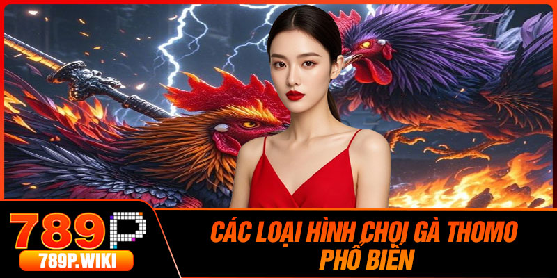 Các loại hình chọi gà Thomo phổ biến