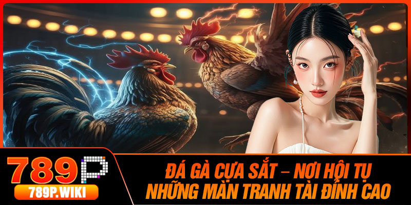 Da Ga Cua Sat – Noi Hoi Tu Nhung Man Tranh Tai Dinh Cao