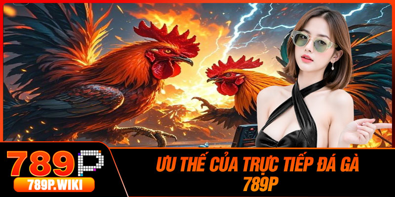 Ưu thế của trực tiếp đá gà 789P